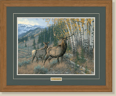 Eastern Slope-Elk by Michael Sieve